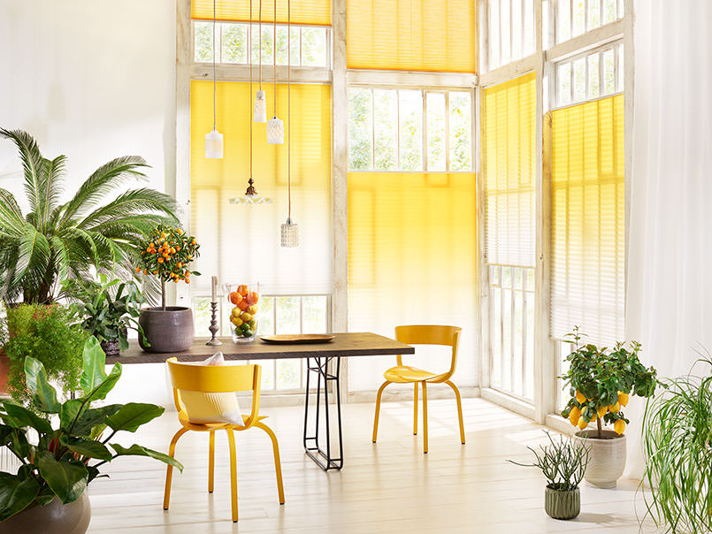 Sicht-und-Sonnenschutz