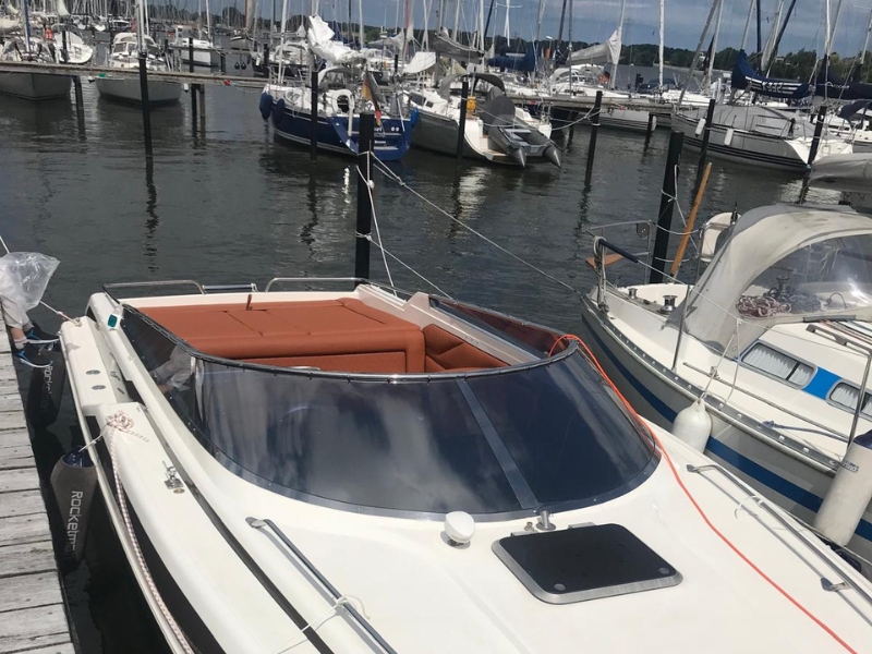 Insektenschutz_Kappeln_Region_Ostsee